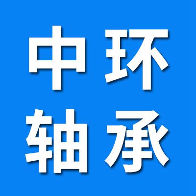 山東中環軸承有限公司