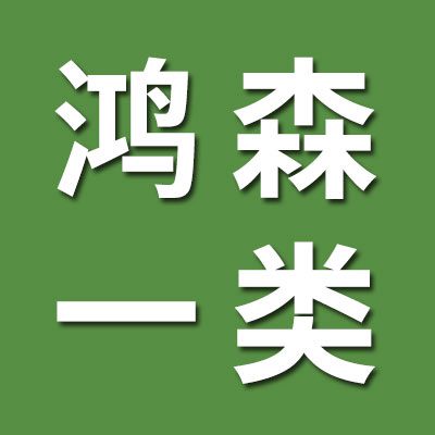 鴻森軸承一類(lèi)、三類(lèi)軸承