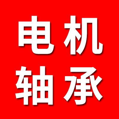 電機(jī)軸承(現(xiàn)場檢測 非標(biāo)定制)