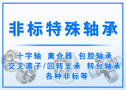 非標(biāo)丨特殊丨異型軸承定做